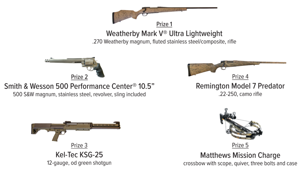 2019 Summer Gun Raffle